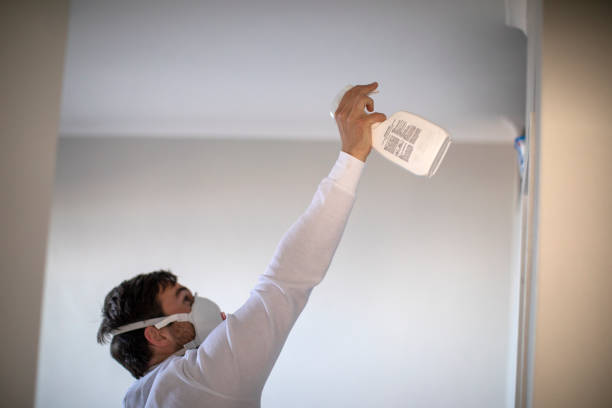 Best HVAC Mold Remediation in Desert Palms, CA