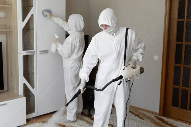 Best Residential Mold Remediation in Desert Palms, CA
